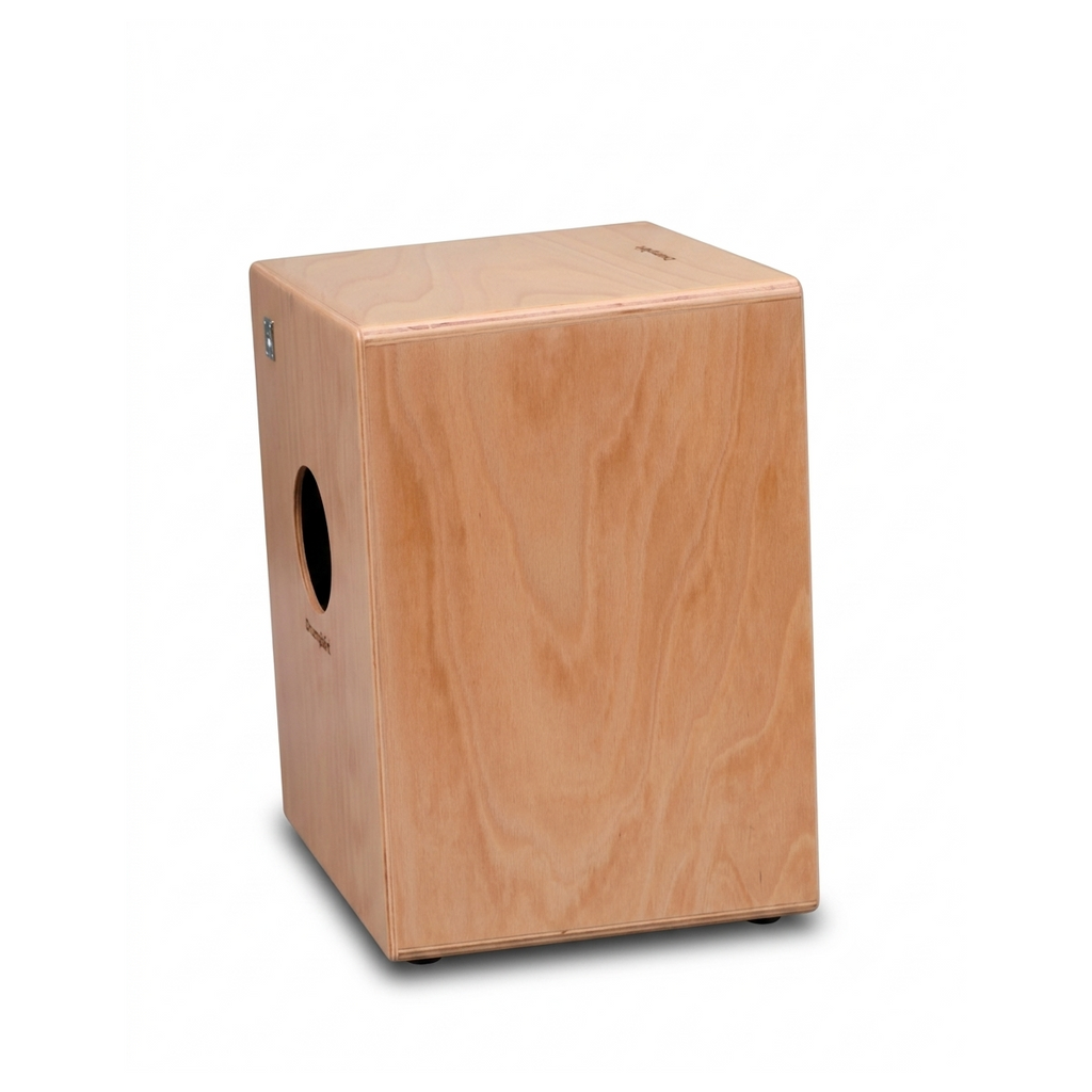 Cajón de concierto
